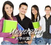 大学付属の語学学校。大学生に人気のプログラムです。
